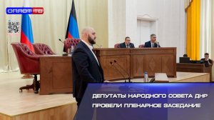 Депутаты Народного Совета ДНР провели пленарное заседание