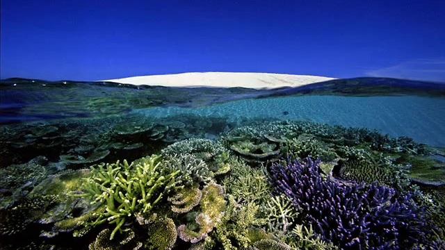 Австралия, Большой Барьерный риф, 2016, Australia, Great Barrier Reef смотреть онлайн
