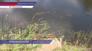 Сразу три случая гибели на воде