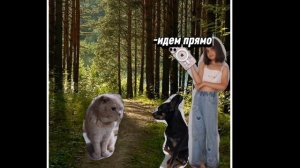 2 часть!!!! «тайная потеря в лесу