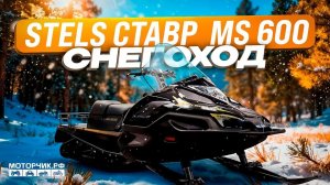 Снегоход STELS MS600T (SWT ST) СТАВР