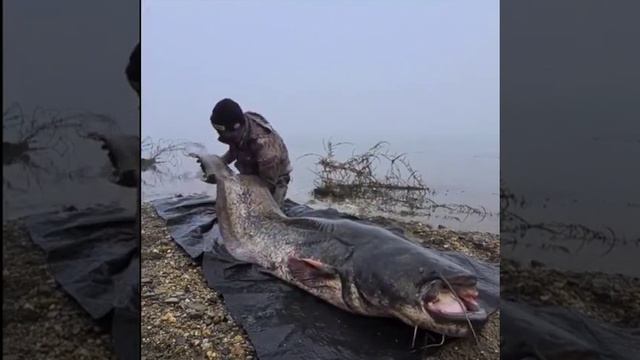 БЫВАЕТ смотреть онлайн