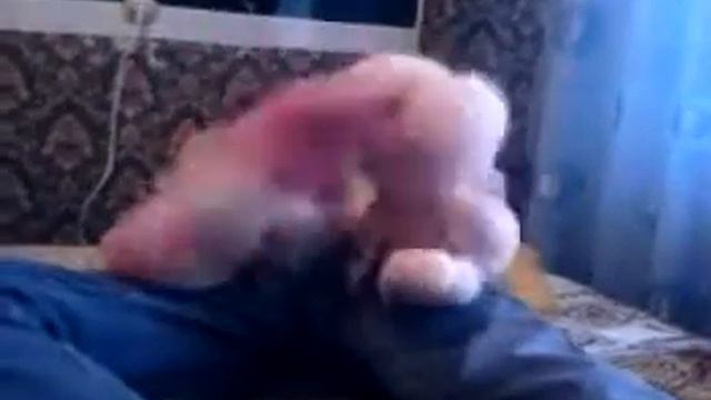 Танцующие плюшевые зайцы смотреть онлайн