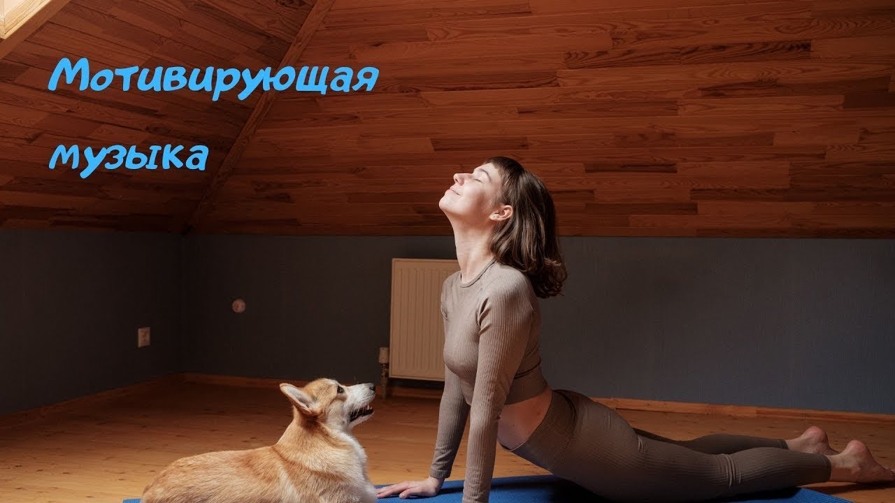 Мотивирующая музыка / Животные. Леса. Горы. лучшая Музыка для Тренировок.