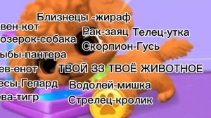 кто ты по зз?