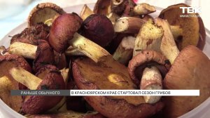 Грибной сезон в Красноярске стартовал раньше обычного
