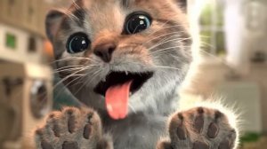 Приключенческие образовательные игры Little Kitten Simulator — играйте весело Геймплей Cut