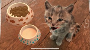 ПРИКЛЮЧЕНИЯ МАЛЕНЬКОГО КОТЕНКА мультик про котят НОВЫЕ ДРУЗЬЯ и новые мультики на #ММ