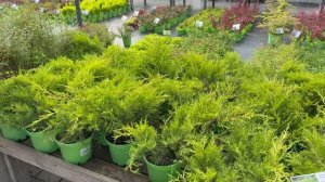 Поездка в РостовСад🌿9 июля 26г🌿