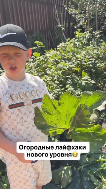 👍🤣 не благодарите #shorts 👍🤣 не благодарите #shorts