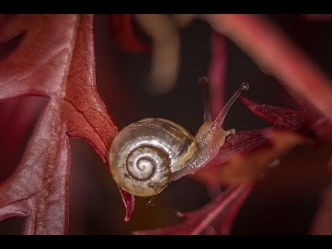 256 м с ---- 299 792 458 м с смотреть онлайн