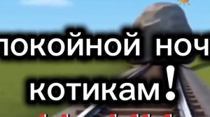 Взлом Бибигон 2009