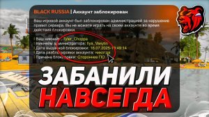 МЕНЯ ЗАБАНИЛИ ЗА ЧИТЫ НАВСЕГДА на БЛЕК РАША... BLACK RUSSIA