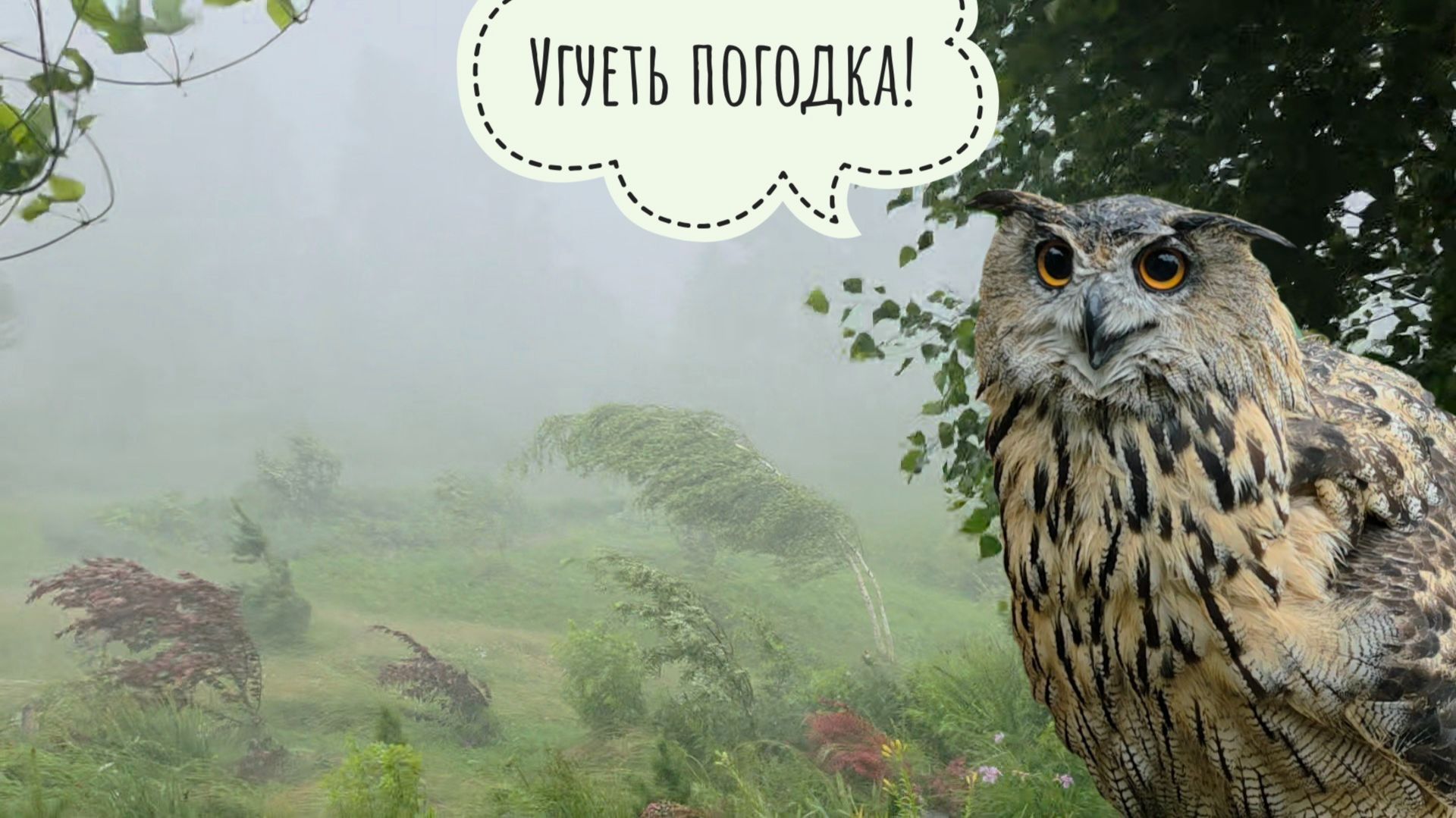 Буря в Совином Доле. Нас чуть не сдуло и не смыло, сломало электричество, - почти сутки без него смотреть онлайн