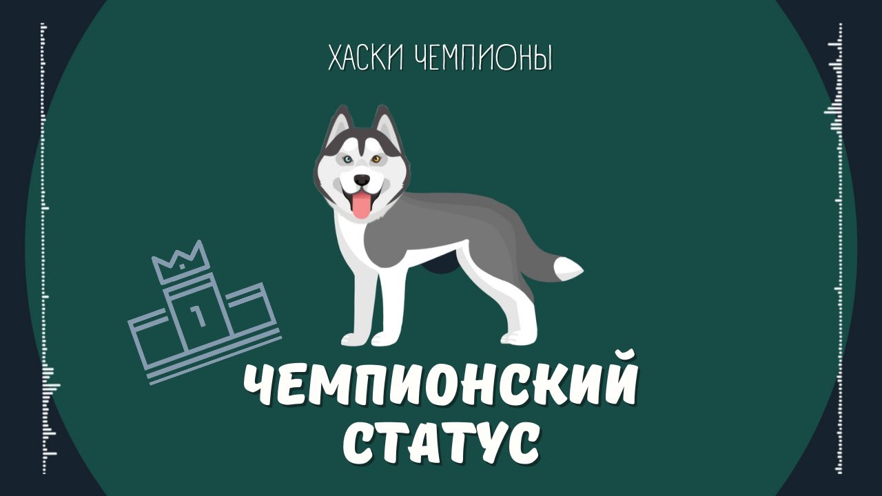 Mi-GEL - Чемпионский статус (хаски чемпионы) 🐕 смотреть онлайн