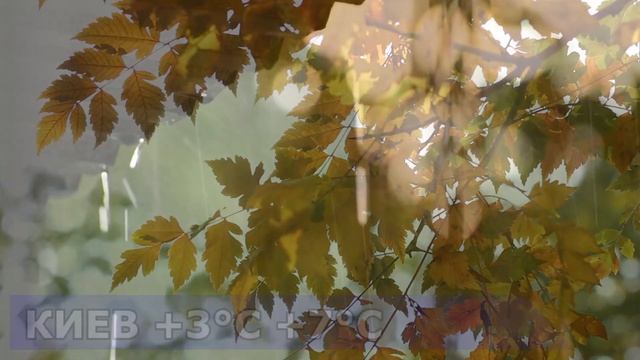 ПОГОДА НА 19 АПРЕЛЯ : ПОГОДА НА СЕГОДНЯ смотреть онлайн