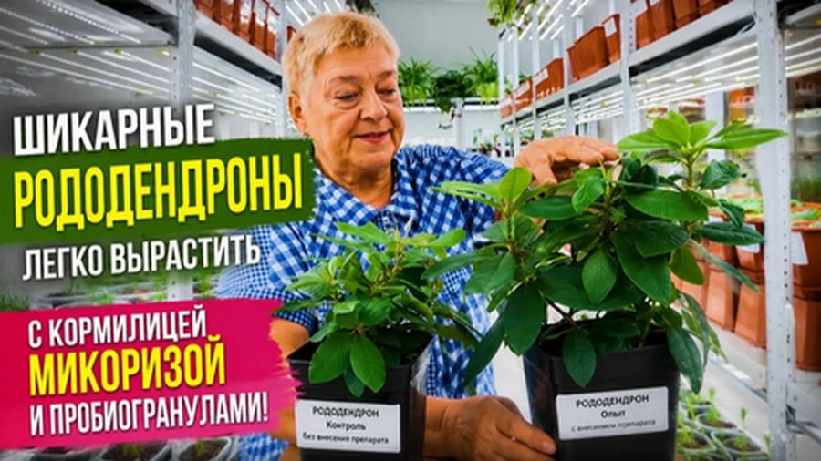 Удивительные 10 000 опытов