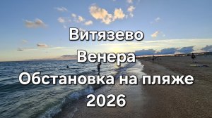 Витязево. Пляж Венера. Дельфины, медузы, водоросли