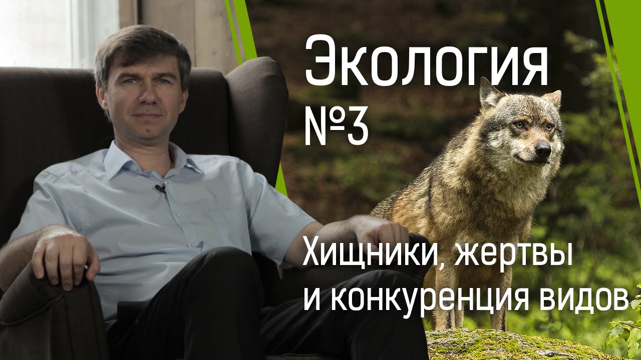 Экология №3: хищники и жертвы и конкуренция видов смотреть онлайн