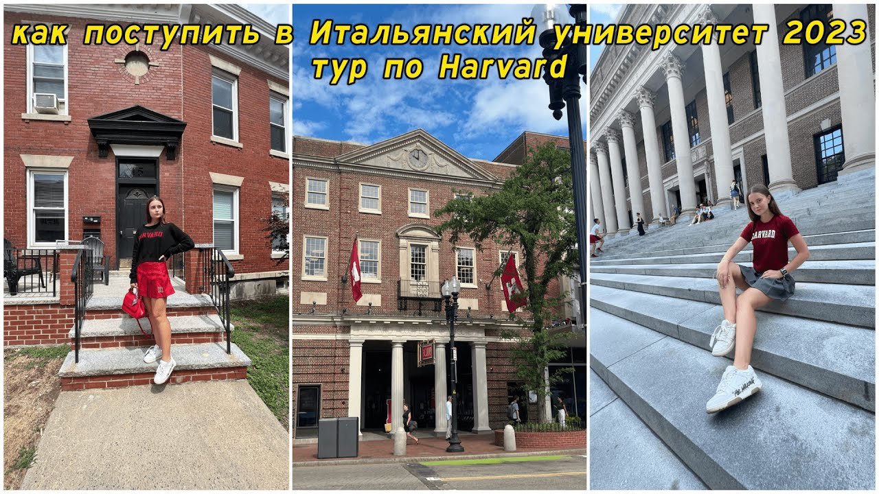 Как поступить в итальянский университет 2023? / Harvard university смотреть онлайн