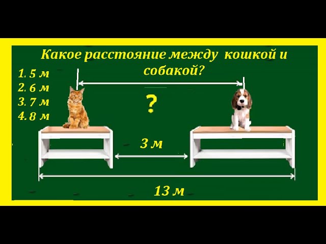 Задача. Найдите расстояние между кошкой и собакой
