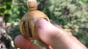 Шкатулка в июльском лесу на березе