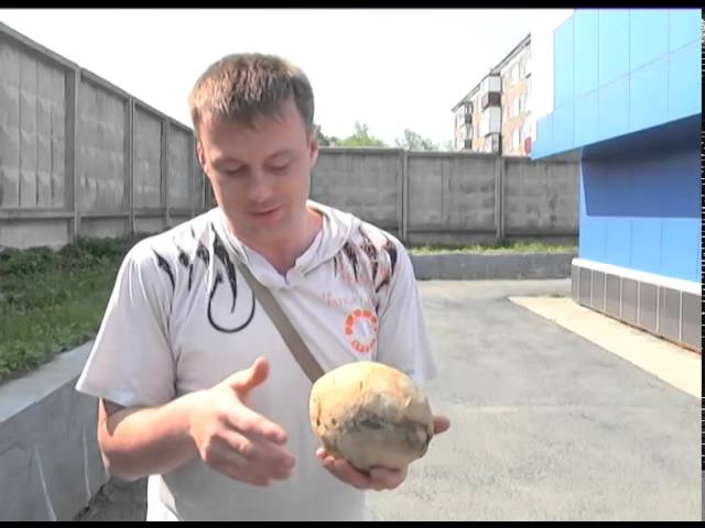 Сахалинец утверждает, что нашел яйца динозавра смотреть онлайн