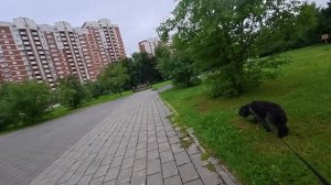 94. Влог. Утренняя пробежка/