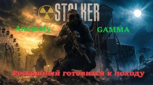 Stalker Anomaly GAMMA 6 серия (Готовимся к походу на Выжигатель Мозгов)