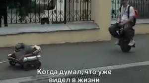 🐶 Мужчина едет на моноколесе и пультом управляет машинкой с прицепом,в котором путешествует его пёс