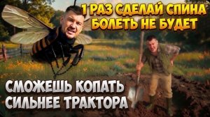 1 раз сделал и спина больше не болит. Копаю сильнее трактора и лакомлюсь картошкой без боли в спине