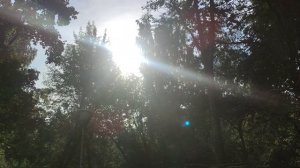11 июля магический ☀️ подарок прогноз погоды от волшебника не купайтесь в пьяном виде