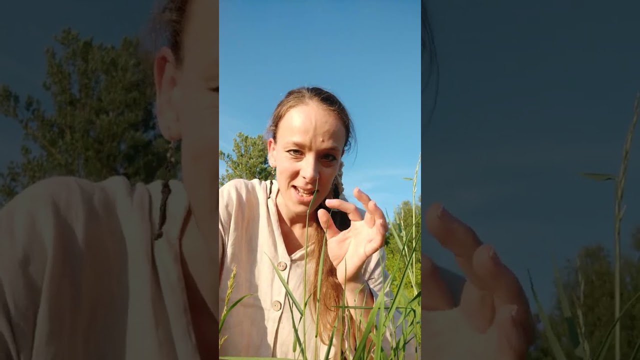 Раскрытие голоса/ Птичий язык/Несуществующий язык смотреть онлайн