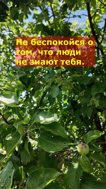 Мудрость, проверенная веками (6)