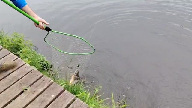 Карп смотреть онлайн