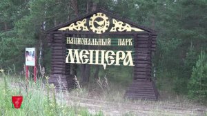 Гусь‑Хрустальный округ приглашает в «Мещёру»: встреча с зубрами и погружение в прошлое