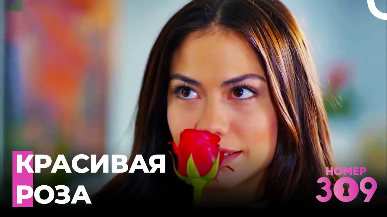 Моя лучшая привычка - Номер 309