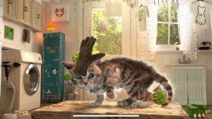 Милый маленький котёнок Приключение - мультик для маленьких мальчиков и девочек Little Cat