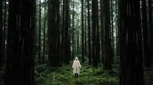 Deep Forest Rain ｜ Nostalgic Ambient & Gentle Showers ｜ Atmospheric Soundscape
