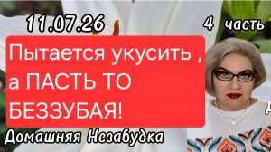 4 часть. Пытается укусить, а ПАСТЬ ТО БЕЗЗУБАЯ 💯❗️