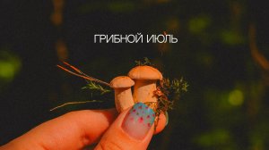 Грибной июль