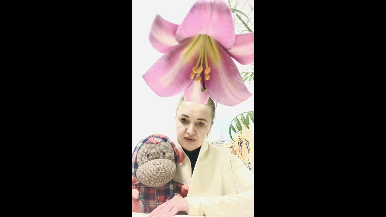 В гостях у сказки ( вед.Татьяна Анатольевна, Анфиска) Волшебная сказка! Любимый рыжий мед! смотреть онлайн