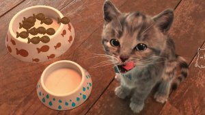 Приключенческие образовательные игры «Маленький котенок» для дошкольников iOS. Дети весело