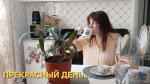 ВОСХИТИТЕЛЬНЫЙ ДЕНЬ☀️ УКОЛЫ ДЛЯ ПОХУДЕНИЯ💉