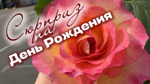 День Рождения 🥳 🍰🍒