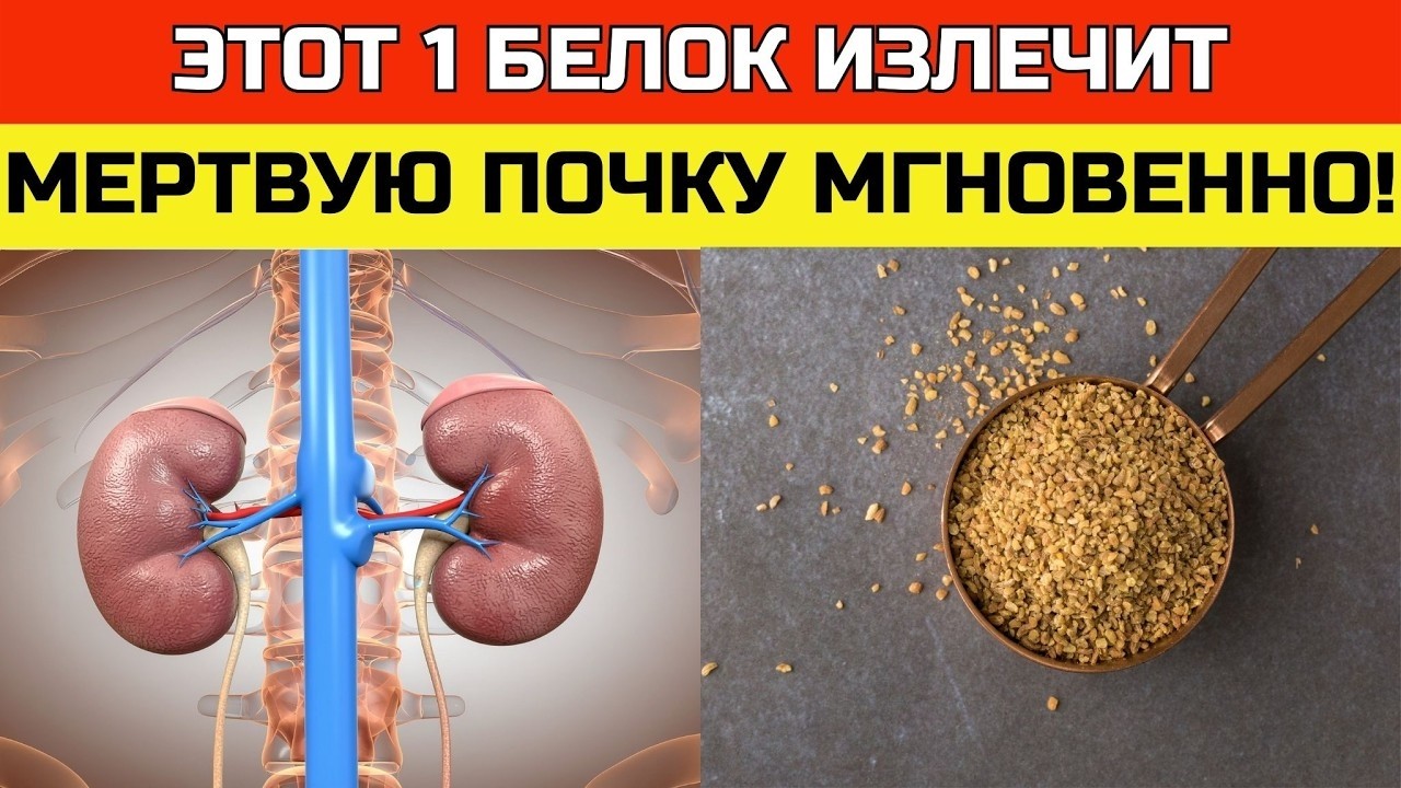 Какой белок убивает ваши почки? 4 безопасных варианта после 55 | ЗДОРОВЬЕ ПОСЛЕ 50 смотреть онлайн