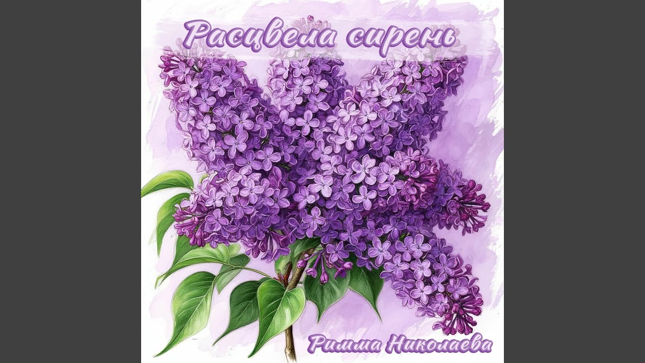 Расцвела сирень