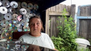 ‘’Эй, ты - подъ сюды ‘’ родители имя не дали номеру 247