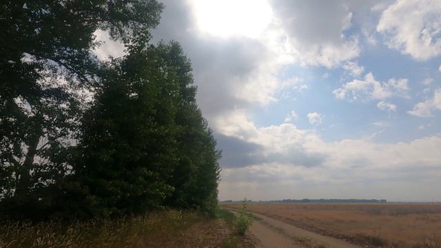Радости лета. 😊 смотреть онлайн