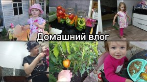 Домашний влог. Всего по чуть-чуть.